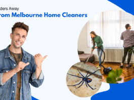 Keep Spiders Away: Tips from Melbourne Home Cleaners