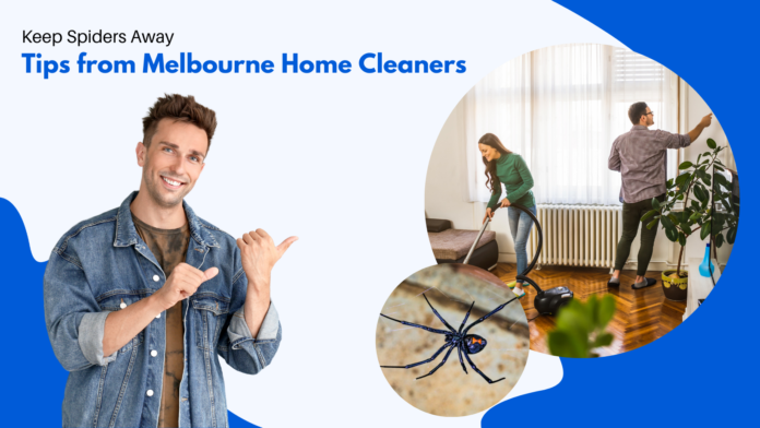 Keep Spiders Away: Tips from Melbourne Home Cleaners