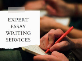 Essay Writing Services