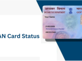 How to Track Your PAN Card Status Efficiently