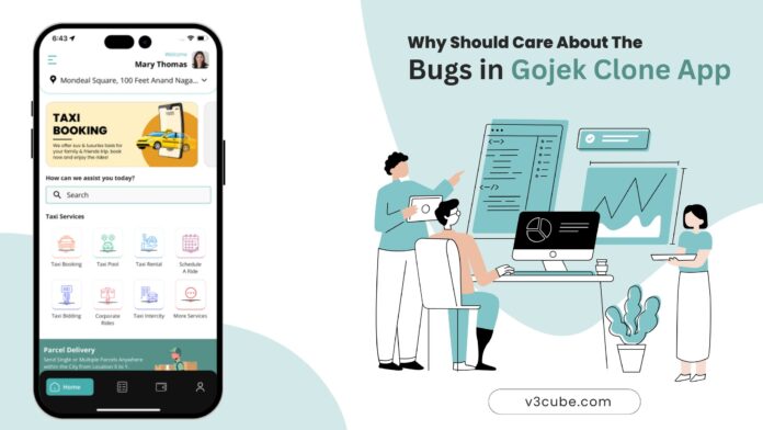 Why Should You Care About The Bugs in Gojek Clone App?